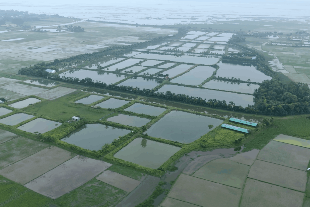 7b98b01c-6440-458f-ad21-08a794112dd2 (1)